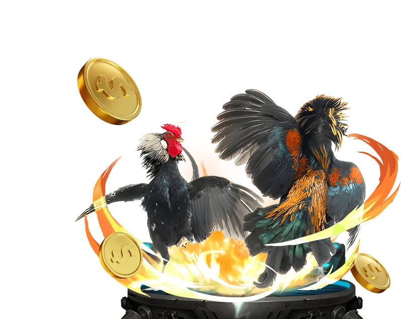 Hình ảnh minh họa các quy tắc cá cược công bằng và tính toàn vẹn của trò chơi tại Đá Gà 888